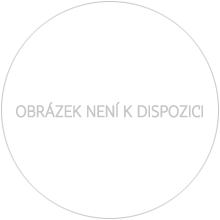Náhled Averzní strany - Zlatá 1/2 Oz medaile Založení Sdružení českých umělců grafiků Hollar proof