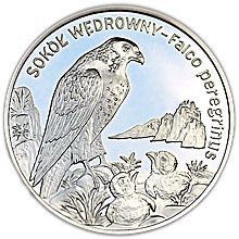 Náhled - 2008 Peregine Falcon Silver Proof