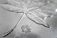 Galerie Maple Leaf  1 Oz Unc. Investiční stříbrná mince-3.jpg