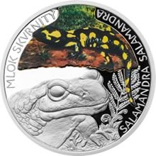 Náhled Averzní strany - Stříbrná mince 1 NZD - Mlok skvrnitý kolorovaná Proof